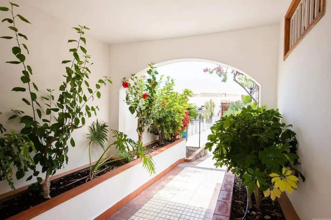 1 Bedroom Apartment For 4 People In Tenerife Costa Adeje
